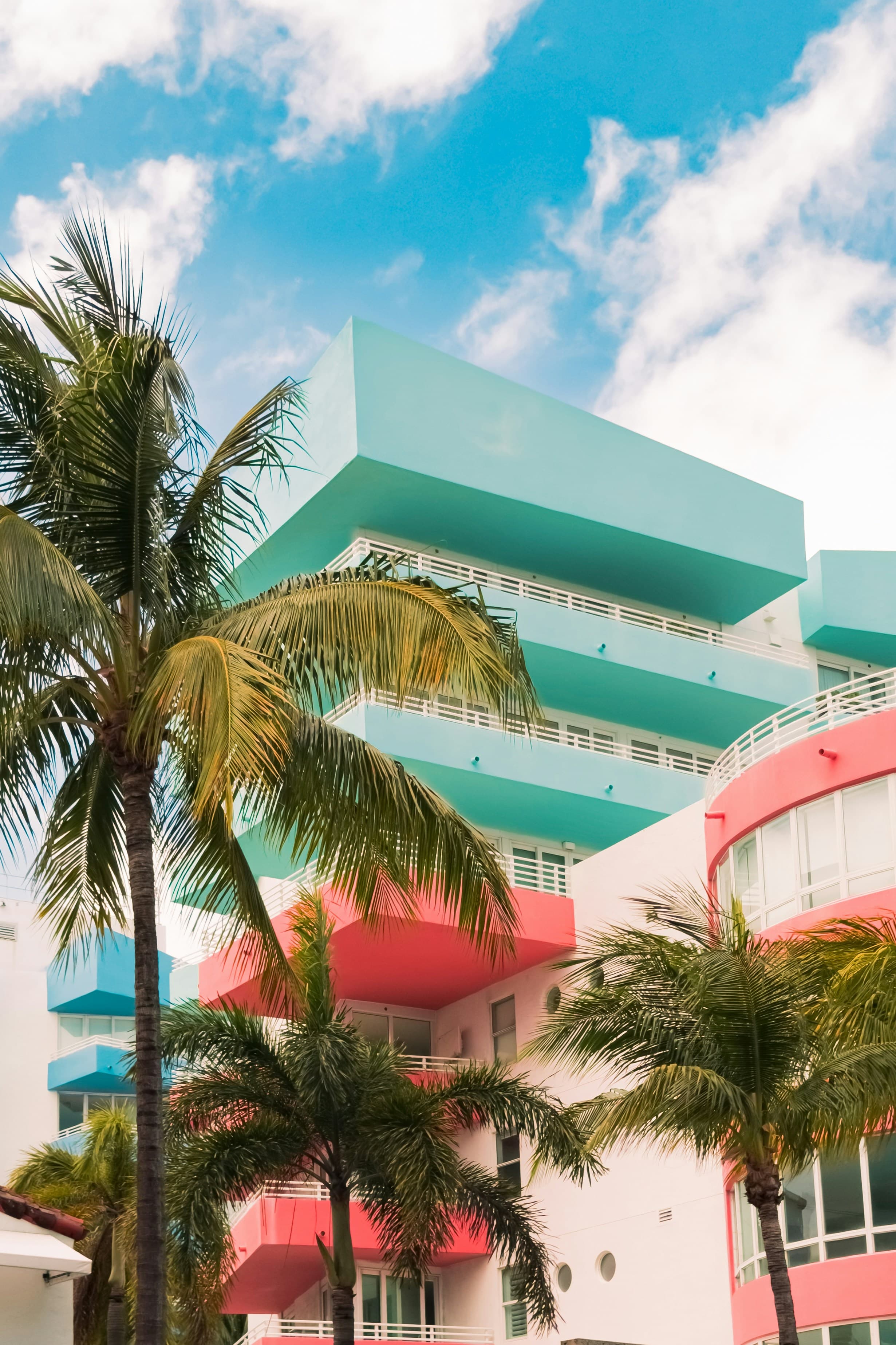 Turquoise and pink buildings framed by palm trees